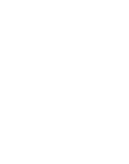 Gem + Bolt Mezcal